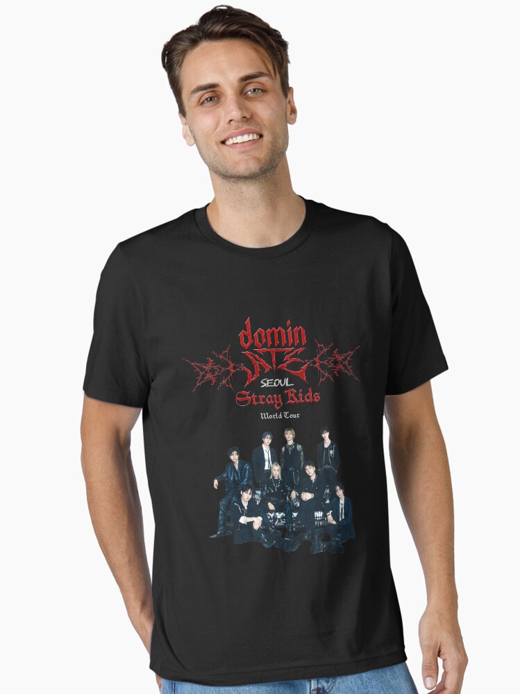 dominATE stray kids world tour 