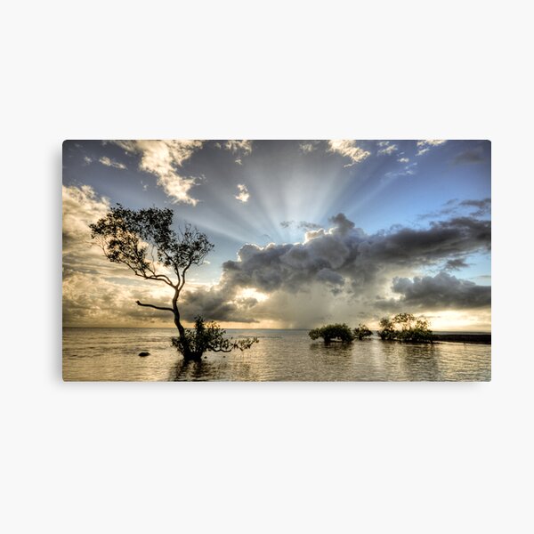 In the deep end. Canvas Print