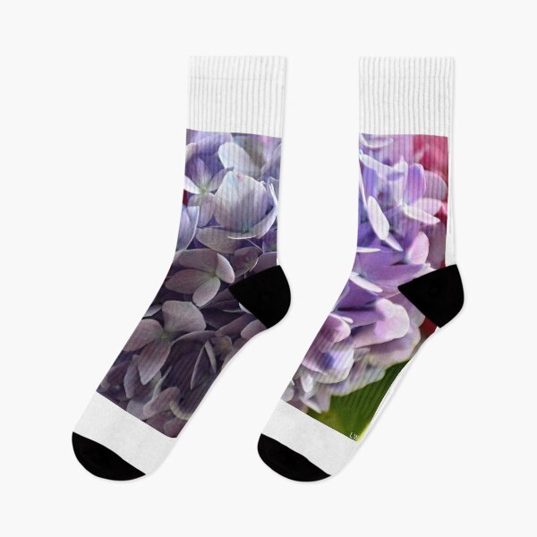 Item preview, Purple Hydrangea designed and sold by LisaWootenPhoto.