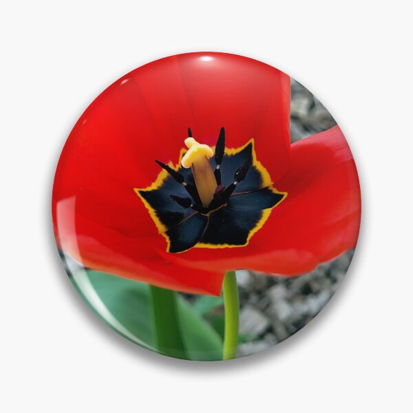 Item preview, Red Tulip In Spring designed and sold by Casual-Funeral.