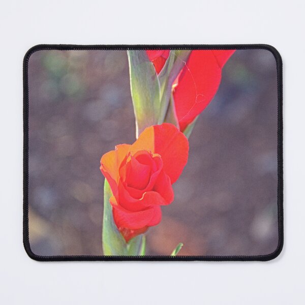 Item preview, Gladiolus designed and sold by LisaWootenPhoto.