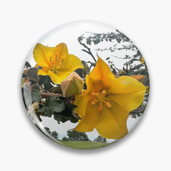 Item preview, California Flannelbush designed and sold by Gemini Dreaming.
