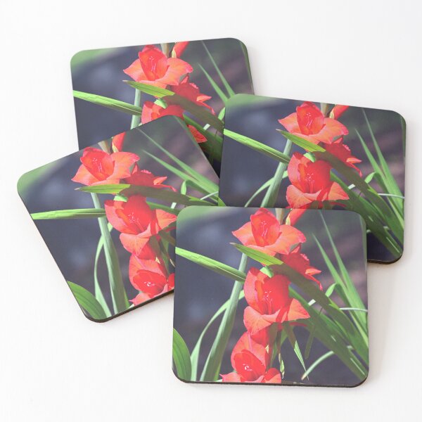 Item preview, Gladiolus designed and sold by LisaWootenPhoto.