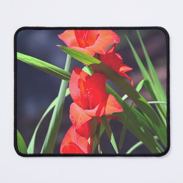 Item preview, Gladiolus designed and sold by LisaWootenPhoto.