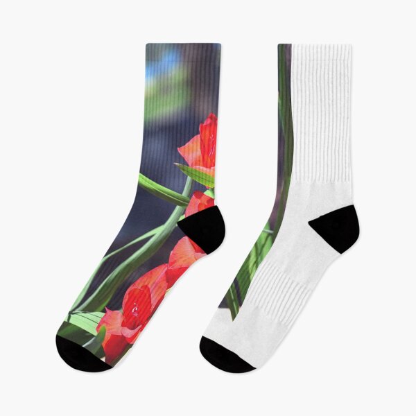 Item preview, Gladiolus designed and sold by LisaWootenPhoto.