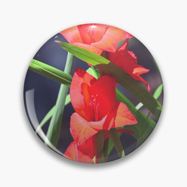 Item preview, Gladiolus designed and sold by LisaWootenPhoto.