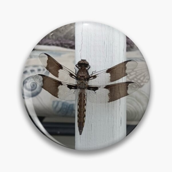 Item preview, Striped Dragonfly on a Railing  designed and sold by Amanda1775.