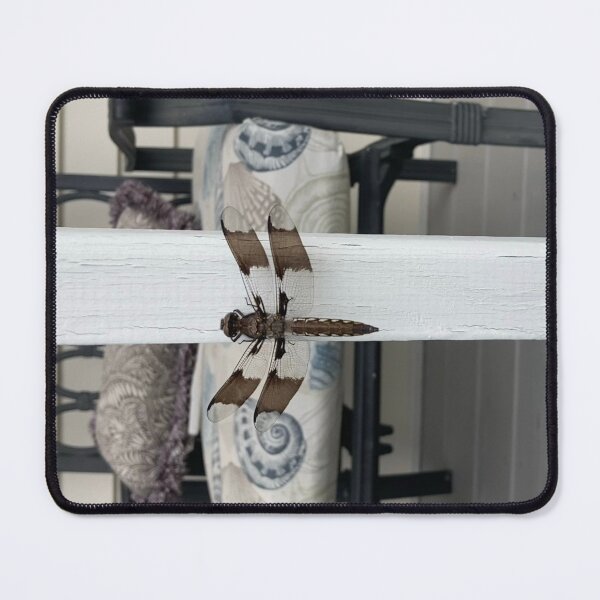 Item preview, Striped Dragonfly on a Railing  designed and sold by Amanda1775.
