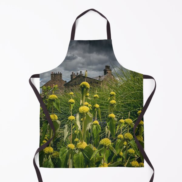 Item preview, Jerusalem Sage (phlomis russeliana) designed and sold by jasminewang.