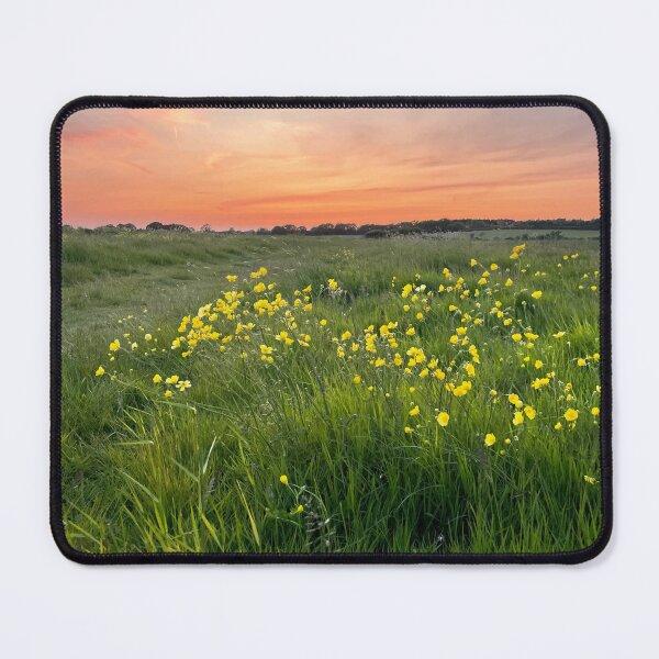 Item preview, Buttercup Meadow at Sunset designed and sold by Alison Crowe.