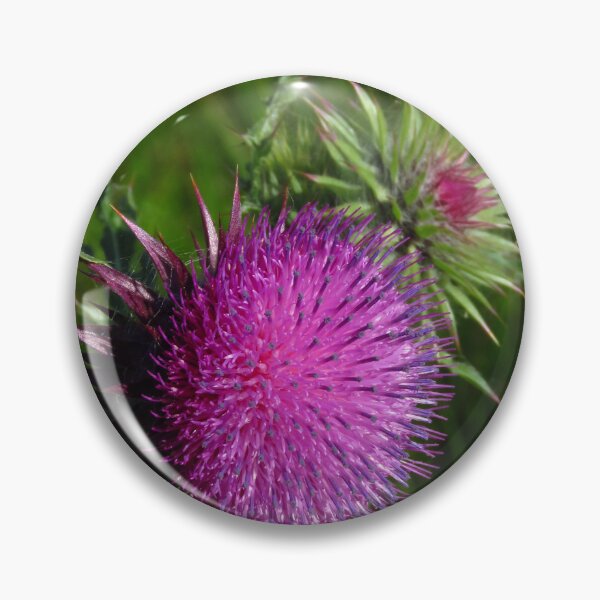 Item preview, Scottish Thistle  designed and sold by wiggyofipswich.