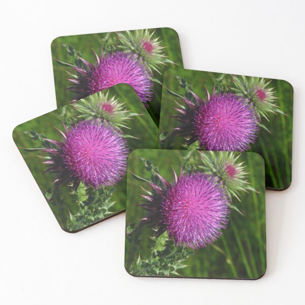 Item preview, Scottish Thistle  designed and sold by wiggyofipswich.