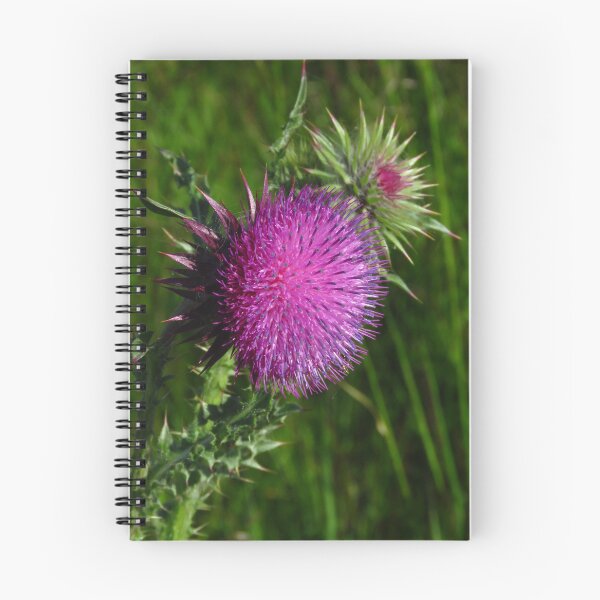 Item preview, Scottish Thistle  designed and sold by wiggyofipswich.