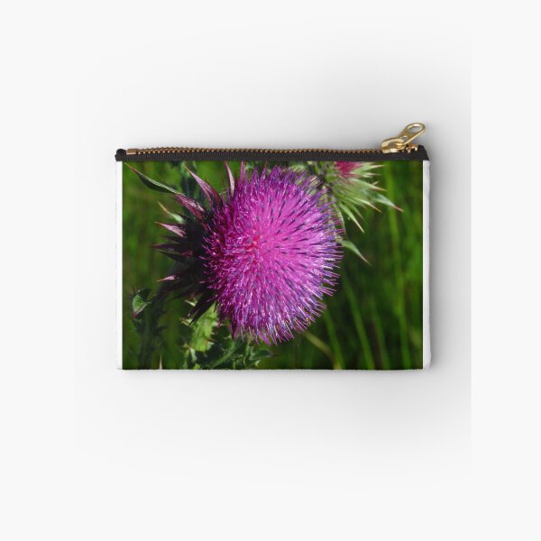 Item preview, Scottish Thistle  designed and sold by wiggyofipswich.