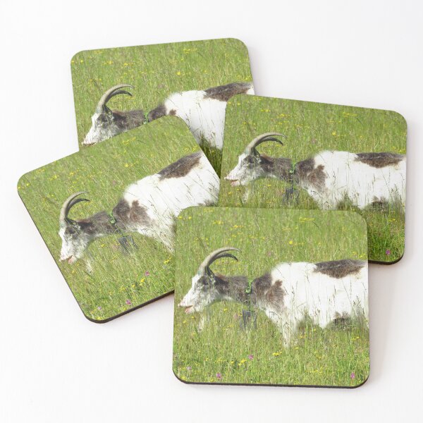 Item preview, Wildflower Lunch designed and sold by wiggyofipswich.