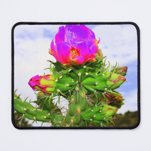 Item preview, Violet Cholla Cactus Flower designed and sold by mandellphotos.