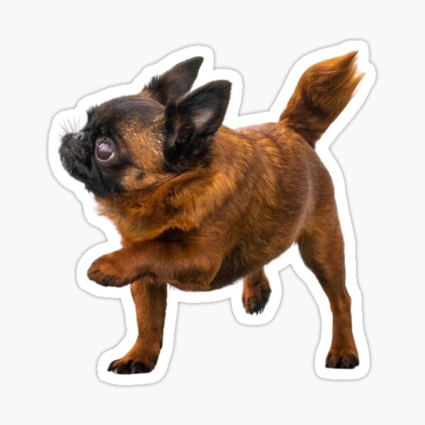 Happy Dottie – by Briar Ingram of Briar Ingram Photography Sticker