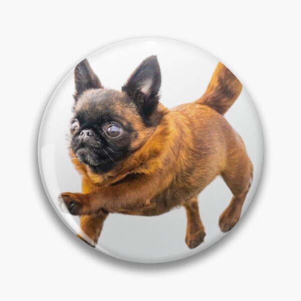 Item preview, Jumping Bean Dottie - by Briar Ingram of Briar Ingram Photography designed and sold by NZChiRescue.