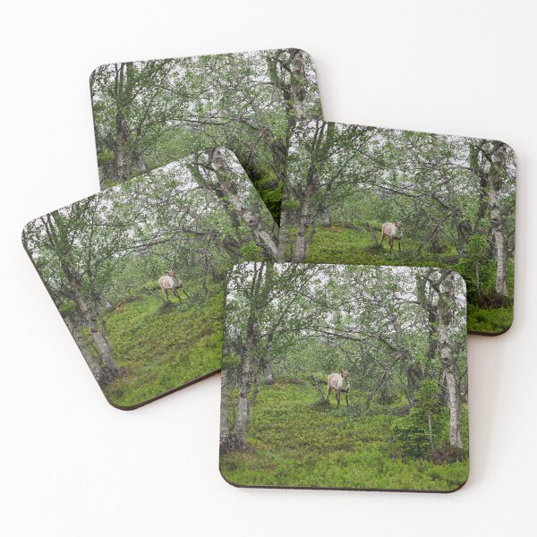 Item preview, Somebody is hiding. Reindeer designed and sold by Jouko Lehto Photography.