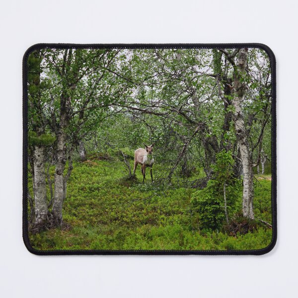 Item preview, Somebody is hiding. Reindeer designed and sold by Jouko Lehto Photography.