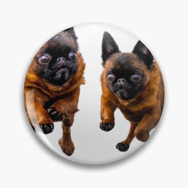 Item preview, Silly Dottie - by Briar Ingram Photography designed and sold by NZChiRescue.