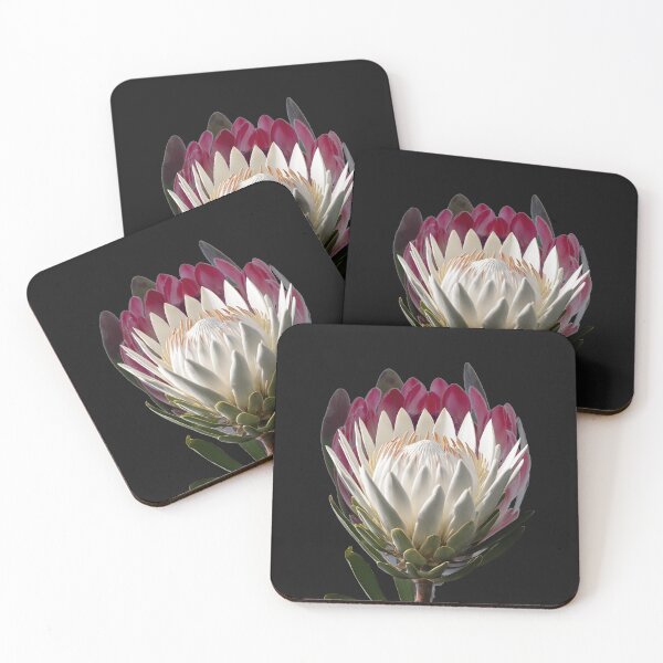 Item preview, Protea lovers designed and sold by Yeyishop.
