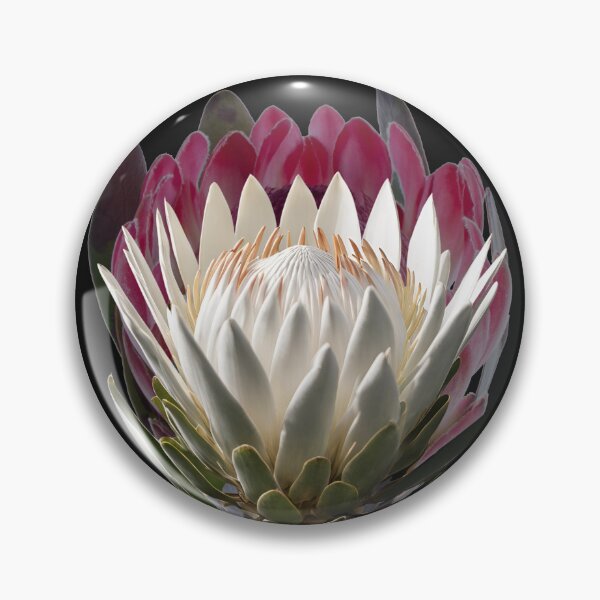 Item preview, Protea lovers designed and sold by Yeyishop.