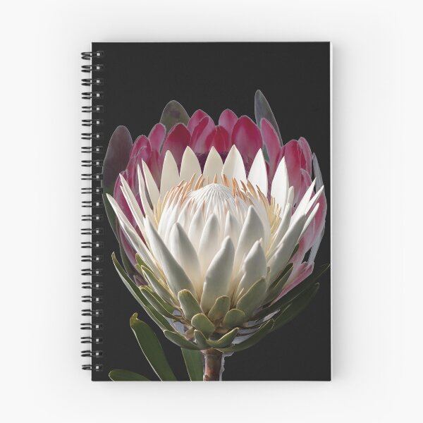 Item preview, Protea lovers designed and sold by Yeyishop.