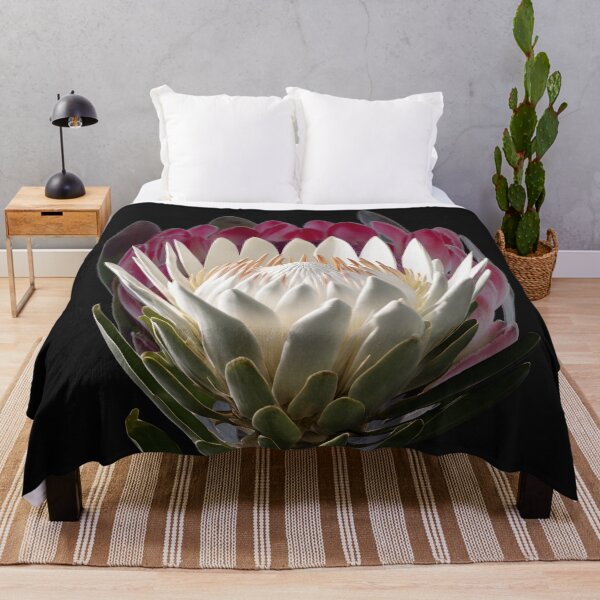 Item preview, Protea lovers designed and sold by Yeyishop.