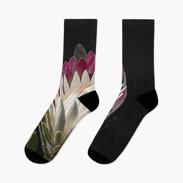 Item preview, Protea lovers designed and sold by Yeyishop.