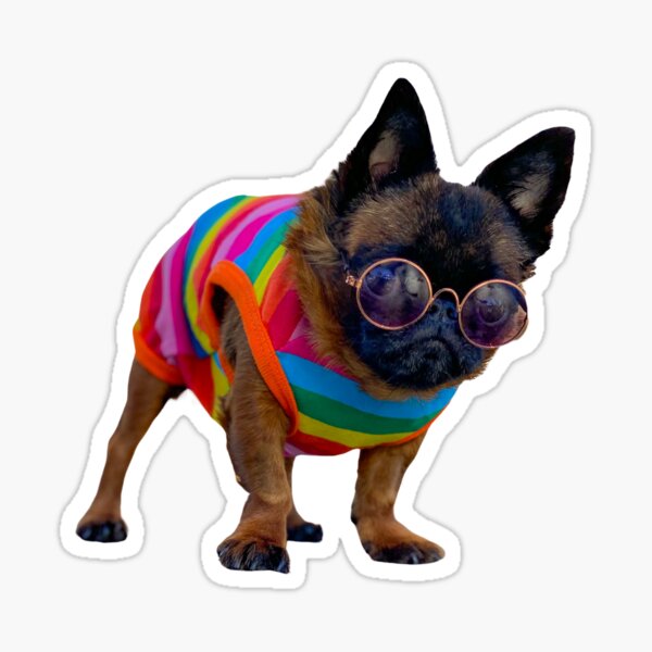 She's a pride girlie! Sticker
