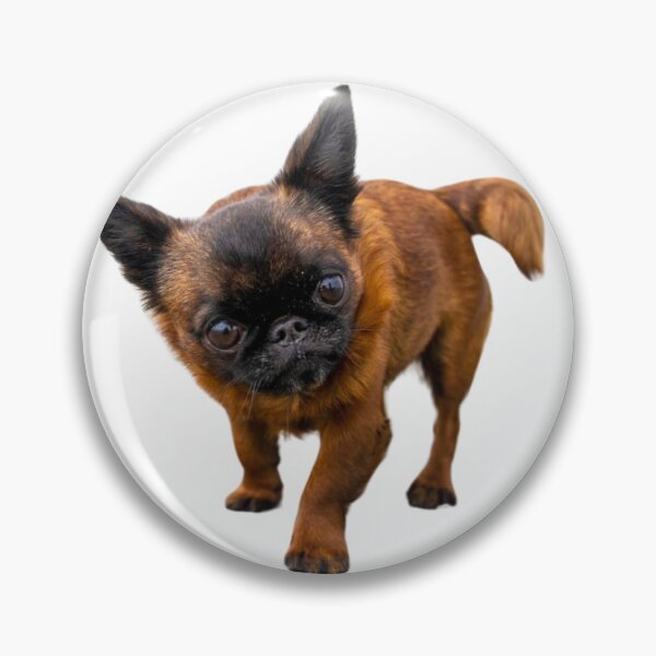 Item preview, Wot Lookin' At? - By Briar Ingram Photography designed and sold by NZChiRescue.