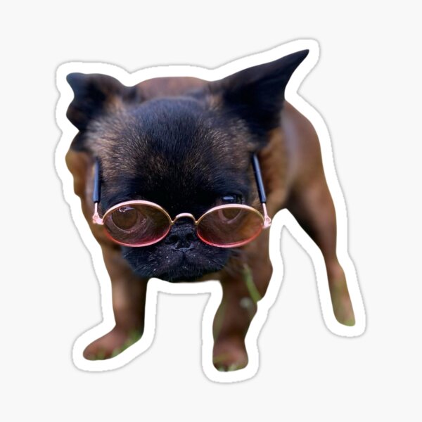 Smart Dottie Sticker