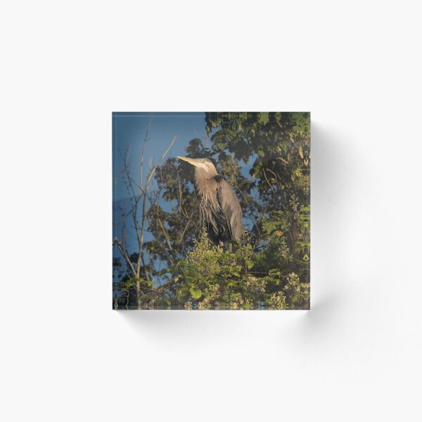 Item preview, Heron sitting in a tree designed and sold by Redtara.