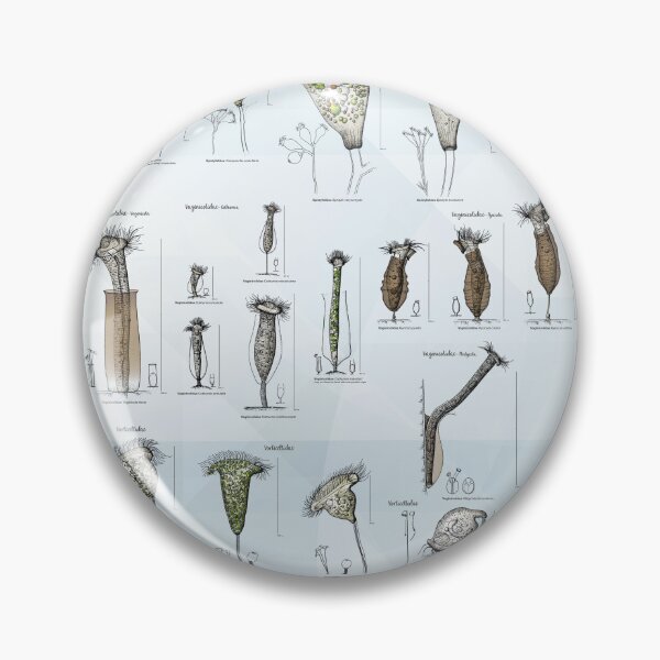 Item preview, Freshwater Peritrichs - Identification Chart designed and sold by elgat76.