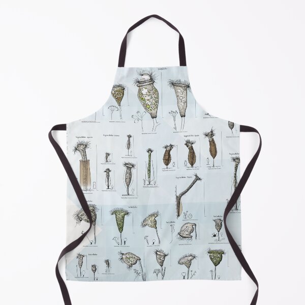 Item preview, Freshwater Peritrichs - Identification Chart designed and sold by elgat76.