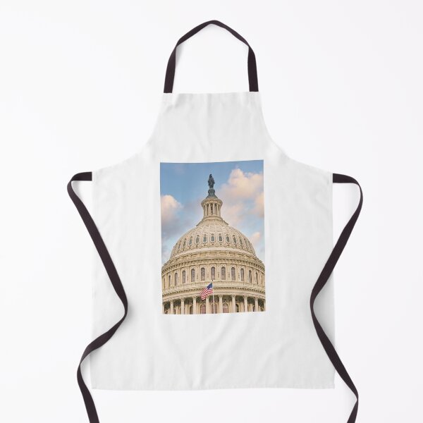 Item preview, United States Capitol designed and sold by Alex Preiss.