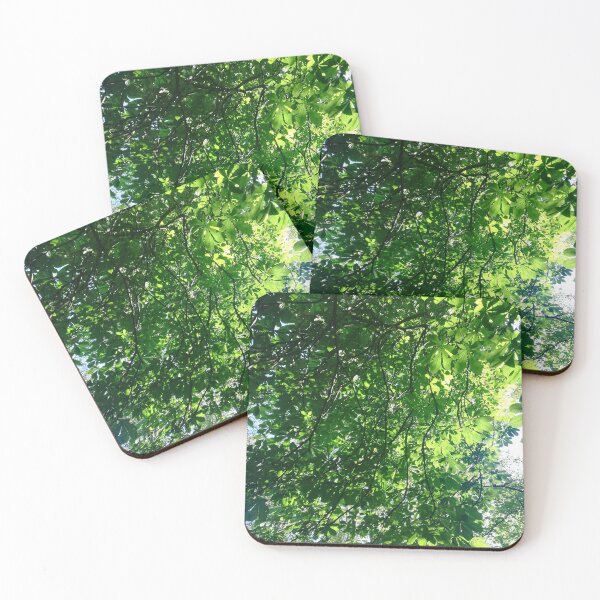 Item preview, Sunshine through horse chestnut leaves photograph  designed and sold by esvb.