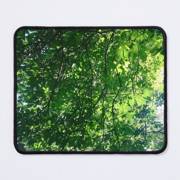 Item preview, Sunshine through horse chestnut leaves photograph  designed and sold by esvb.