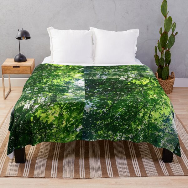 Item preview, Sunshine through horse chestnut leaves photograph  designed and sold by esvb.
