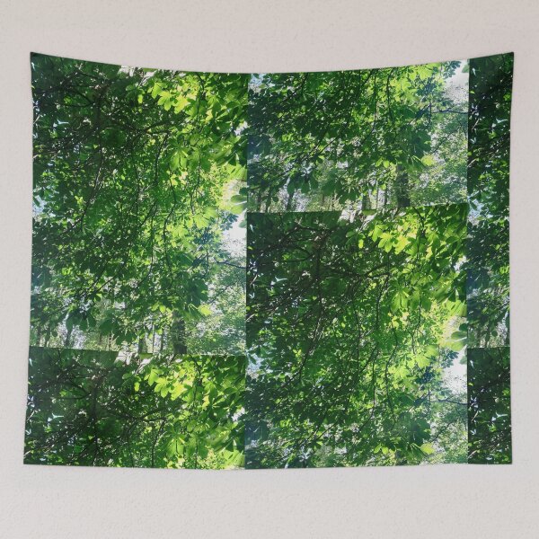 Item preview, Sunshine through horse chestnut leaves photograph  designed and sold by esvb.
