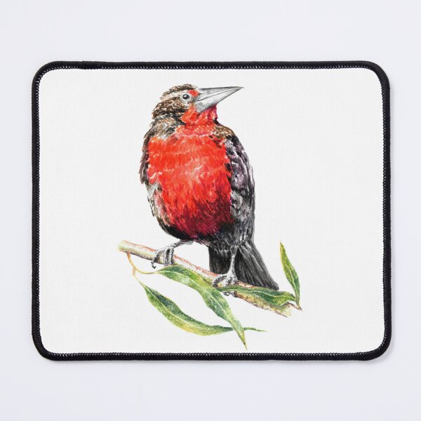 Item preview, Chilean loica (Leistes loyca) designed and sold by SandraHaro.