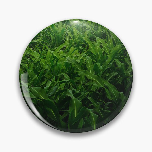 Item preview, Cornfield designed and sold by Daap.