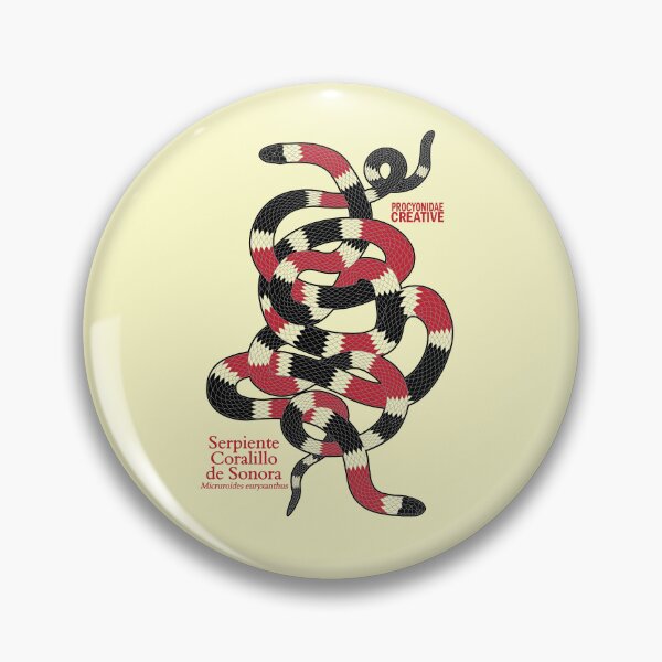 Item preview, Serpiente Coralillo de Sonora (Micruroides euryxanthus) 1 designed and sold by Procyonidae Creative.