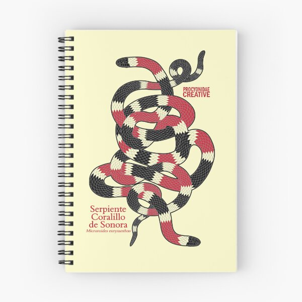 Item preview, Serpiente Coralillo de Sonora (Micruroides euryxanthus) 1 designed and sold by Procyonidae Creative.