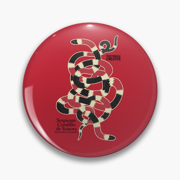 Item preview, Serpiente Coralillo de Sonora (Micruroides euryxanthus) 2 designed and sold by Procyonidae Creative.