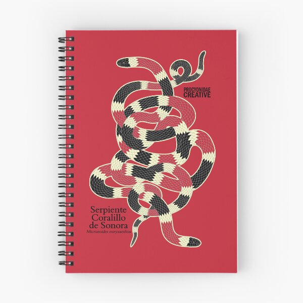 Item preview, Serpiente Coralillo de Sonora (Micruroides euryxanthus) 2 designed and sold by Procyonidae Creative.