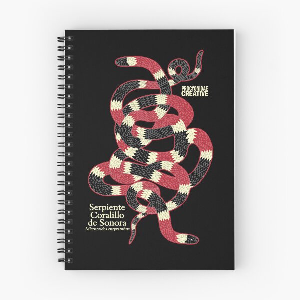Item preview, Serpiente Coralillo de Sonora (Micruroides euryxanthus) 3 designed and sold by Procyonidae Creative.