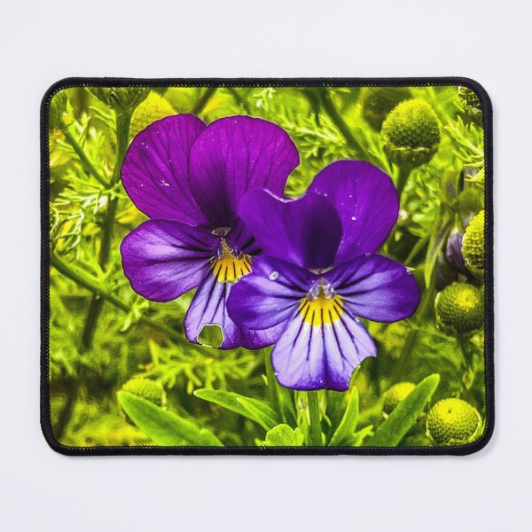 Item preview, Wild Pansy, Heartsease, purple hues, wildflower and whimsical vibes designed and sold by aadventures.