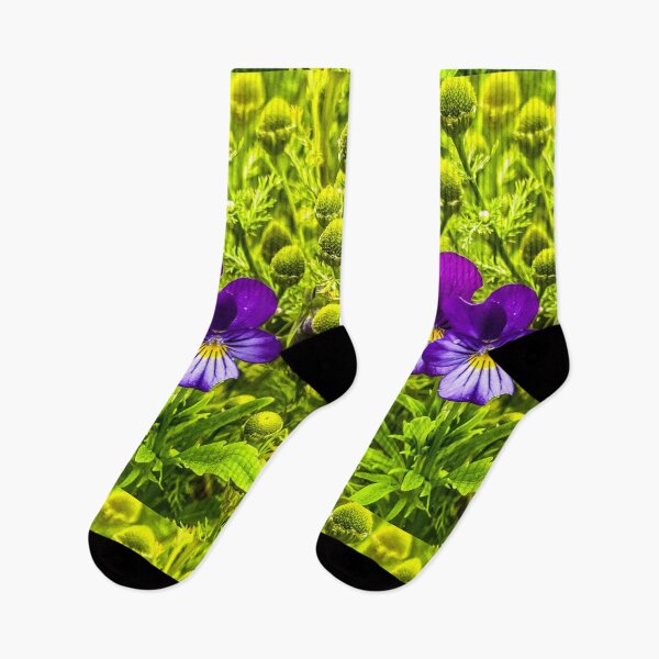 Item preview, Wild Pansy, Heartsease, purple hues, wildflower and whimsical vibes  designed and sold by aadventures.